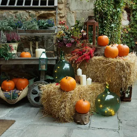 Casa Del Marqués فندق