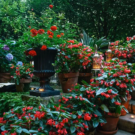 Casa Del Marques Hotel