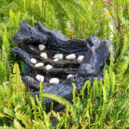 Casa Del Marques Hotell